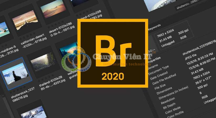 adobe bridge cc 2020 2