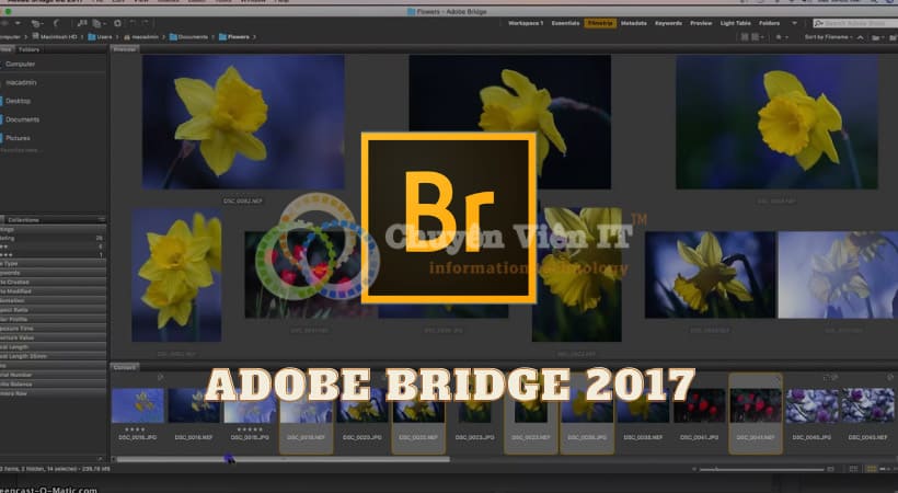 bridge 2017 nen 1