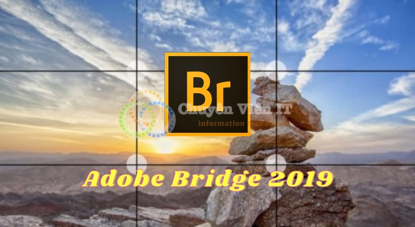 nen2 bridge 2019 1